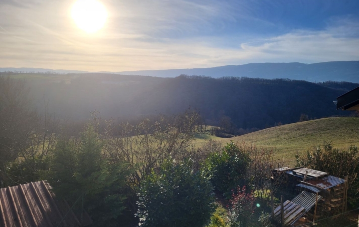 Maison de village LEAZ (01200)  141 m2 499 000 € 