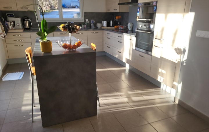 Maison THOIRY (01710)  185 m2 870 000 € 