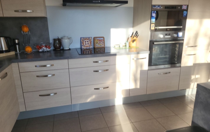 Maison THOIRY (01710)  185 m2 870 000 € 