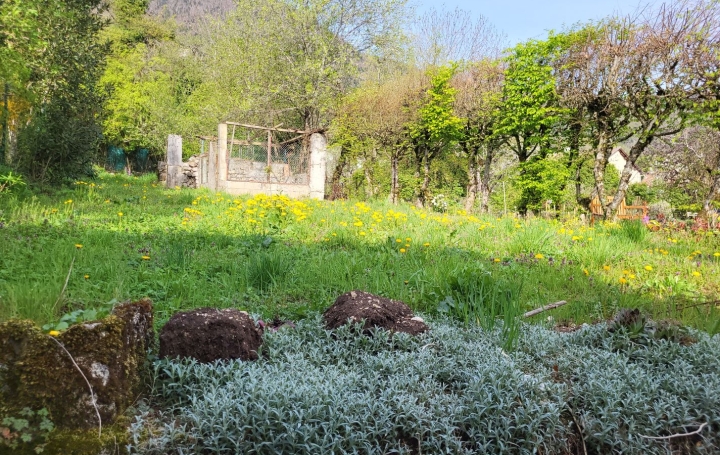 Autre COLLONGES (01550)  130 m2 225 000 € 