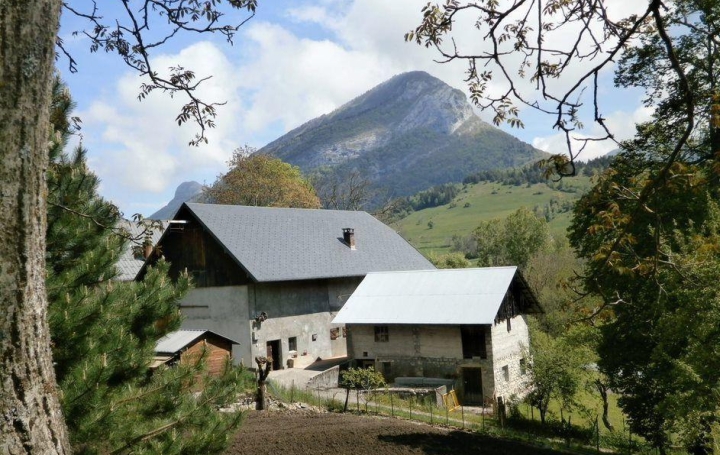 Réseau Immo-diffusion : Maison  LA THUILE  110 m2 275 900 € 