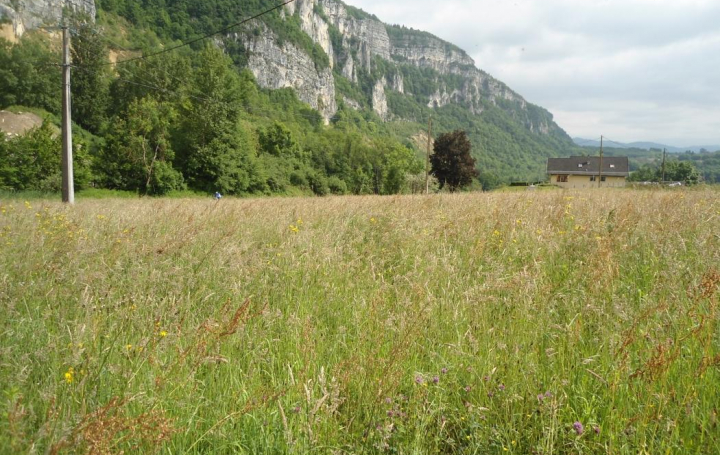 Réseau Immo-diffusion : Terrain  ROCHEFORT   55 000 € 