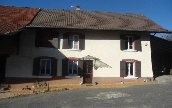 Réseau Immo-diffusion : Maison  MERLAS  131 m2 395 000 € 