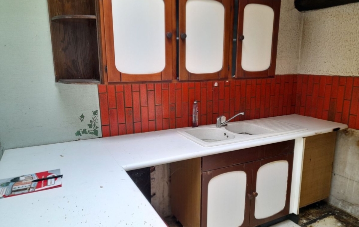 Maison de village SAINT-GEOIRE-EN-VALDAINE (38620)  136 m2 81 000 € 