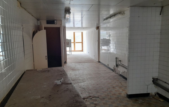 Maison de village SAINT-GEOIRE-EN-VALDAINE (38620)  136 m2 81 000 € 