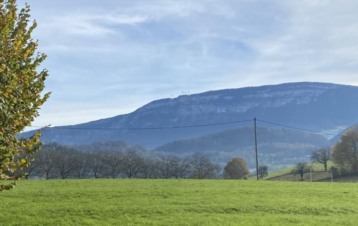 Maison DOMESSIN (73330)  122 m2 230 000 € 