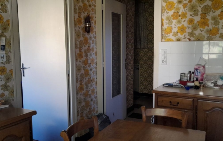 Maison SAINT-GEOIRE-EN-VALDAINE (38620)  150 m2 153 000 € 