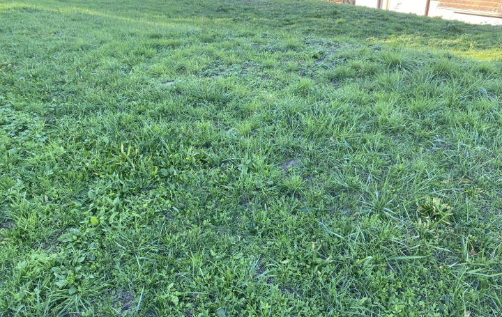 Terrain LE PONT-DE-BEAUVOISIN (38480)   55 000 € 