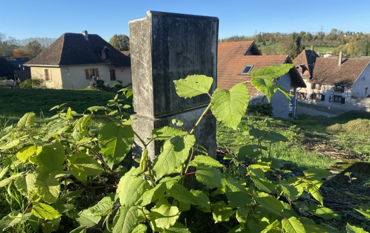 Terrain LE PONT-DE-BEAUVOISIN (38480)   55 000 € 