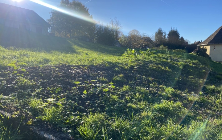 Terrain LE PONT-DE-BEAUVOISIN (38480)   55 000 € 