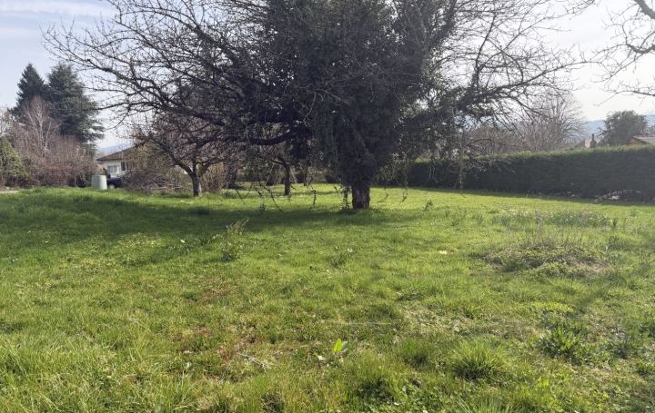 Terrain LE PONT-DE-BEAUVOISIN (73330)   66 000 € 