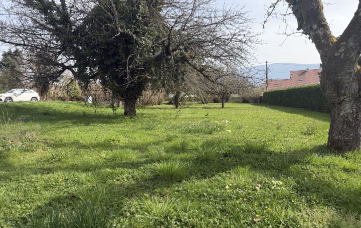 Terrain LE PONT-DE-BEAUVOISIN (73330) 0 m<sup>2</sup> 66 000 € 