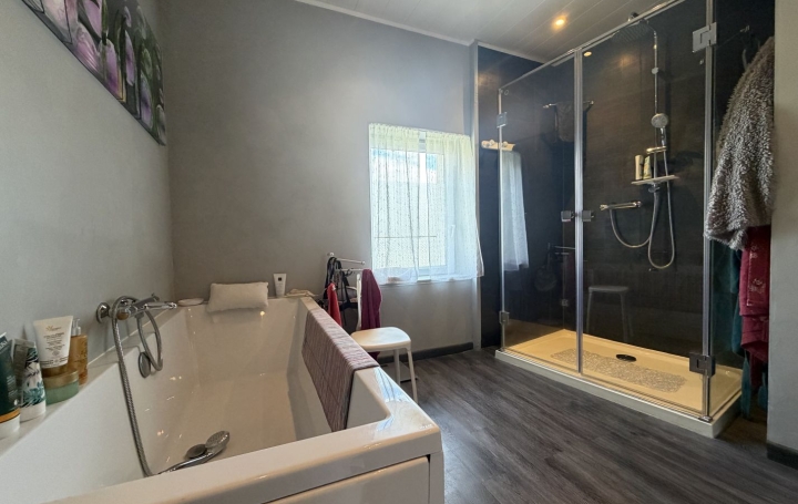 Maison SAINT-GENIX-SUR-GUIERS (73240)  145 m2 590 000 € 