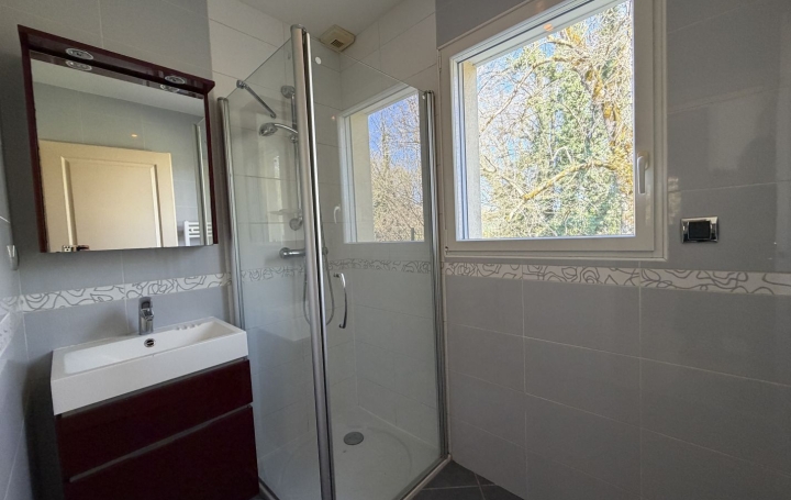 Villa SAINT-GEOIRE-EN-VALDAINE (38620)  240 m2 520 000 € 