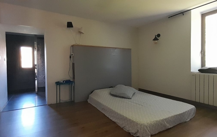 Maison SAINT-GEOIRE-EN-VALDAINE (38620)  280 m2 465 000 € 