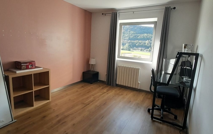 Maison SAINT-GEOIRE-EN-VALDAINE (38620)  280 m2 465 000 € 