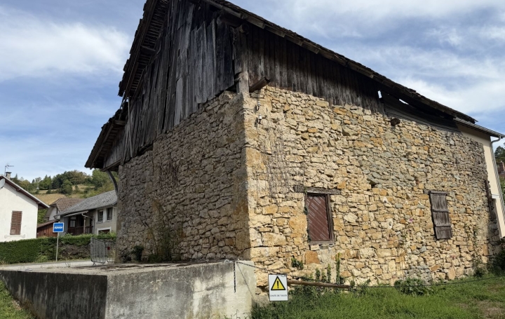 Maison SAINT-ALBAN-DE-MONTBEL (73610)  65 m2 67 000 € 