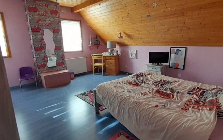 Villa SAINT-GEOIRE-EN-VALDAINE (38620)  160 m2 353 000 € 