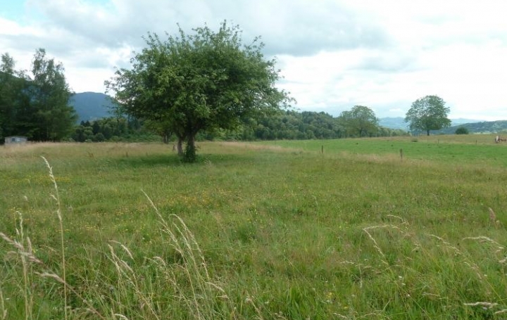 Réseau Immo-diffusion : Terrain  AYN   76 000 € 