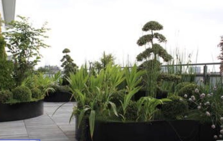 4 Pièces TASSIN-LA-DEMI-LUNE (69160)  90 m2 499 000 € 