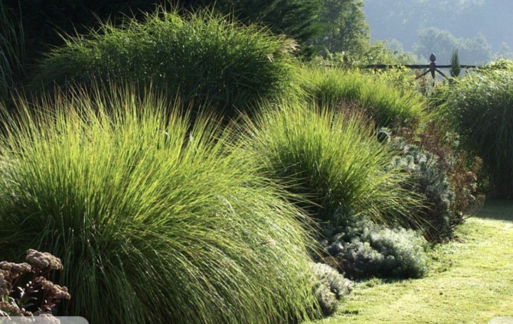 Maison / Villa SAIN-BEL (69210) 87 m<sup>2</sup> 380 000 € 