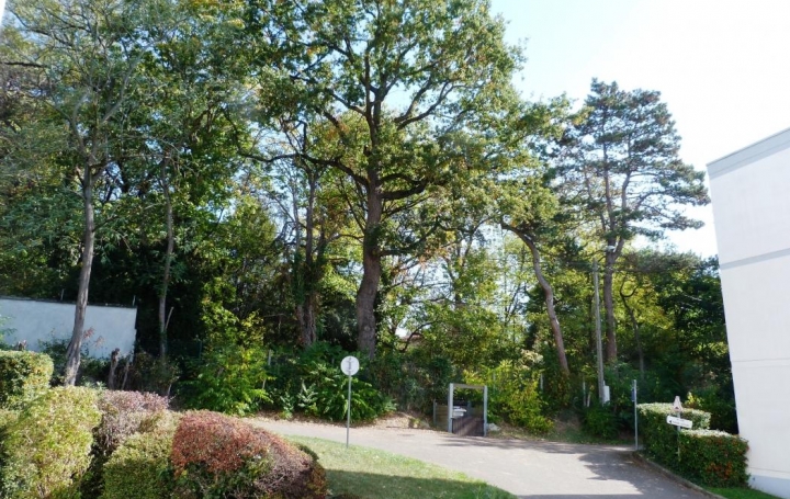 Réseau Immo-diffusion : Appartement P2  LA MULATIERE  50 m2 545 € 