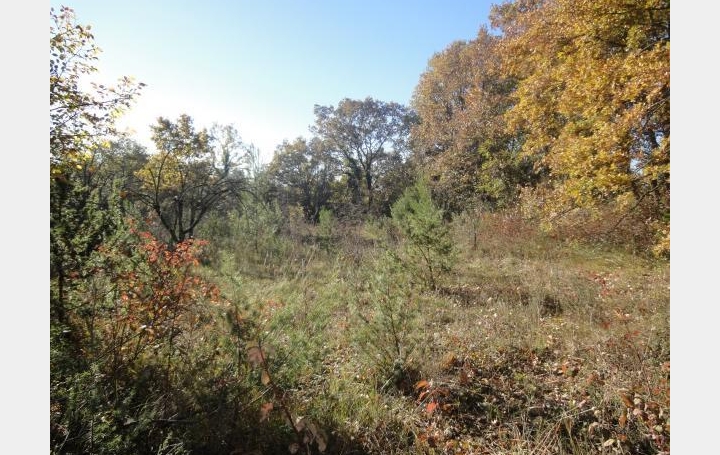 Réseau Immo-diffusion : Terrain  ARPAILLARGUES-ET-AUREILLAC   10 000 € 