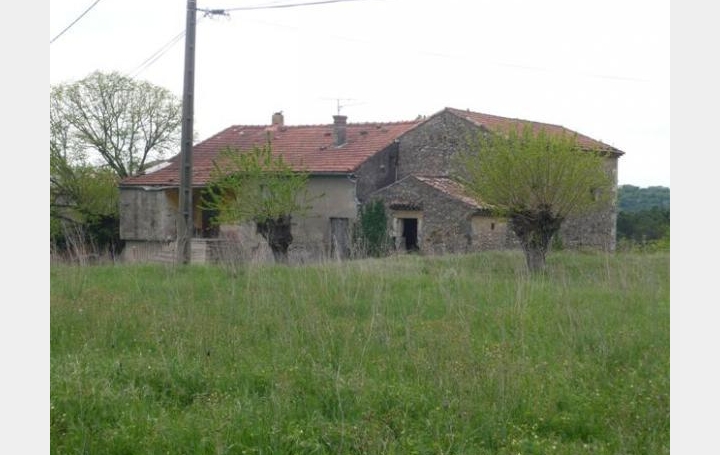 Réseau Immo-diffusion : Mas  BARON  500 m2 380 000 € 