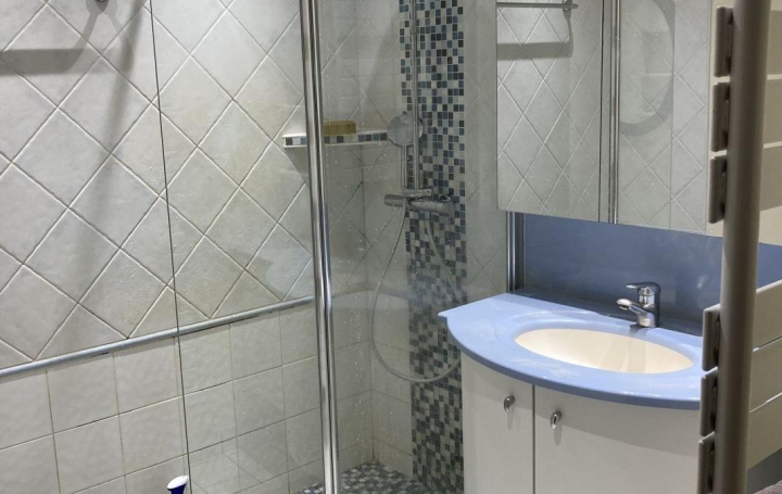 Maison LA BUISSE (38500)  126 m2 490 000 € 