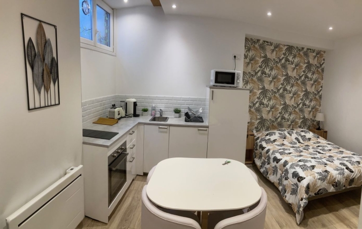 Studio GRENOBLE (38000)  17 m2 60 000 € 