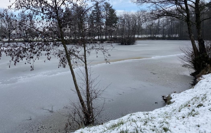 Réseau Immo-diffusion : Terrain  KESKASTEL  10 m2 39 000 € 