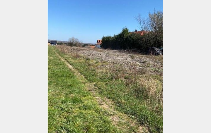 Réseau Immo-diffusion : Terrain  SPICHEREN   0 € 