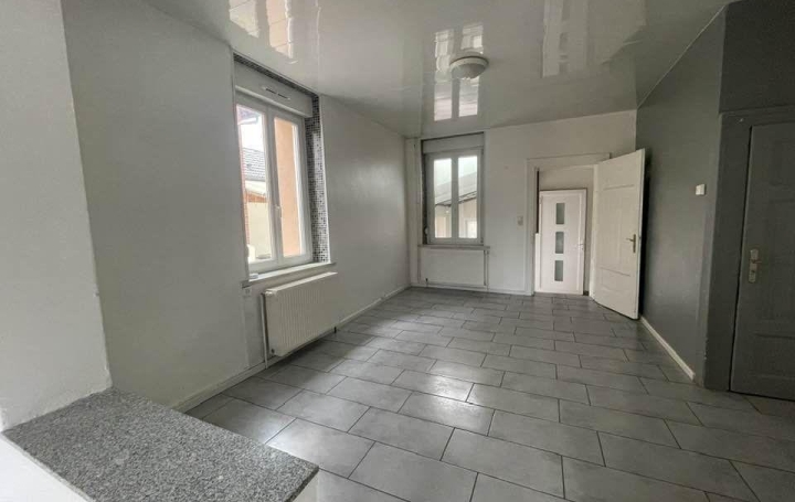 Maison FREYMING-MERLEBACH (57800)  85 m2 135 000 € 