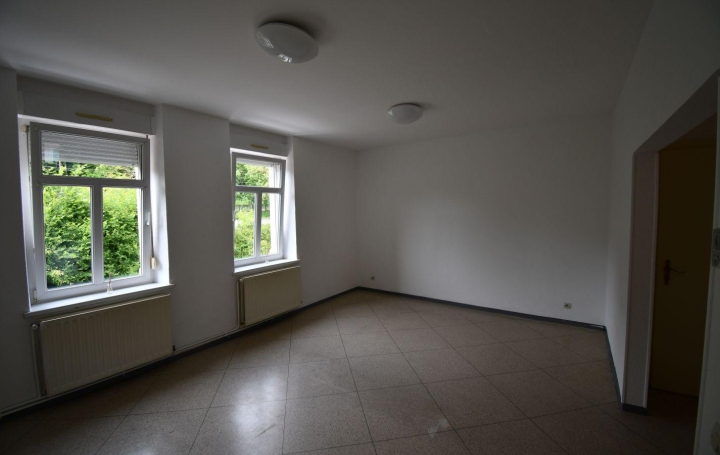 Immeuble HOMBOURG-HAUT (57470)  250 m2 249 000 € 