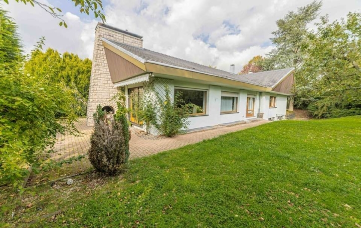 Villa OETING (57600)  197 m2 426 000 € 