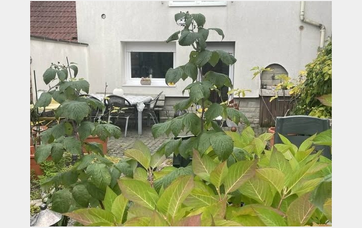 Maison de village KERBACH (57460)  140 m2 208 000 € 