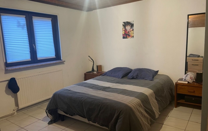 Maison FREYMING-MERLEBACH (57800)  117 m2 159 000 € 