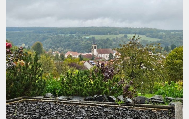 Maison ALSTING (57515)  218 m2 520 000 € 