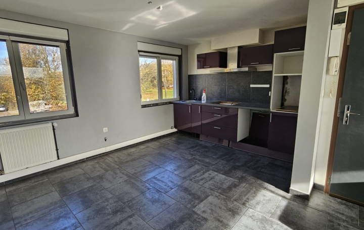 Maison FORBACH (57600)  71 m2 69 900 € 