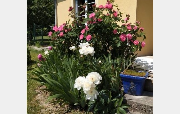 Maison / Villa HOMBOURG-HAUT (57470) 175 m<sup>2</sup> 364 000 € 