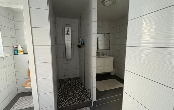 Immeuble FORBACH (57600)  250 m2 446 000 € 