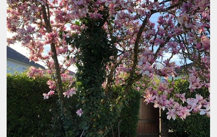 Villa GUEBENHOUSE (57510)  140 m2 380 000 € 