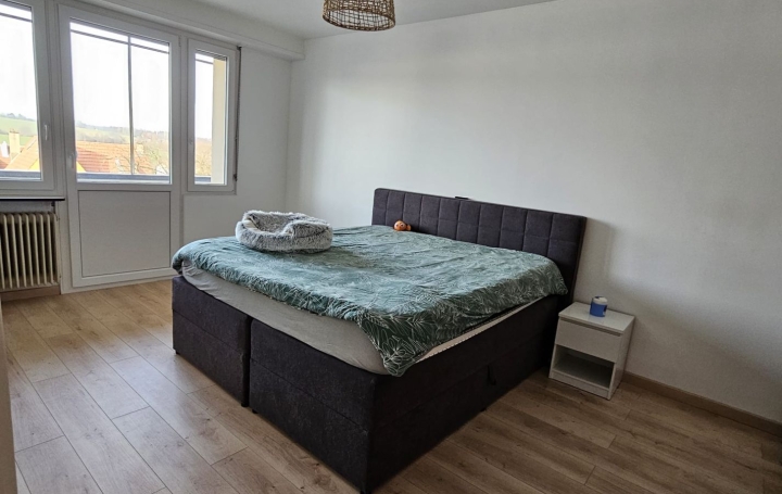 Maison FREYMING-MERLEBACH (57800)  127 m2 195 000 € 