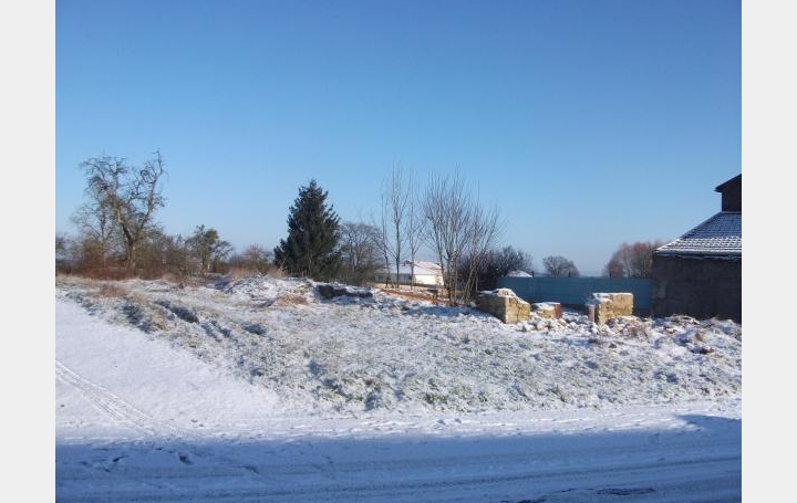 Réseau Immo-diffusion : Terrain  SAINT-FRANCOIS-LACROIX   33 000 € 