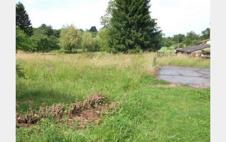 Réseau Immo-diffusion : Terrain  LOUPERSHOUSE   38 500 € 