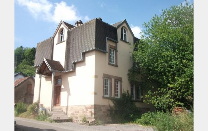 Réseau Immo-diffusion : Maison  SPICHEREN  208 m2 233 000 € 