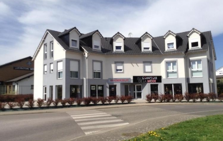 Réseau Immo-diffusion : Programme  THEDING  580 m2 600 000 € 