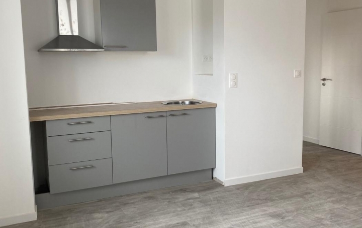 Réseau Immo-diffusion : Appartement P2  SAINT-SYMPHORIEN-D'OZON  43 m2 676 € 