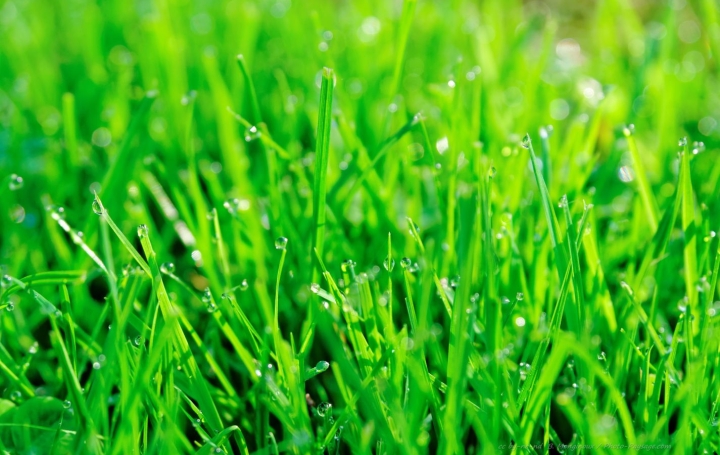 Terrain SEPTEME (38780) 0 m<sup>2</sup> 189 000 € 