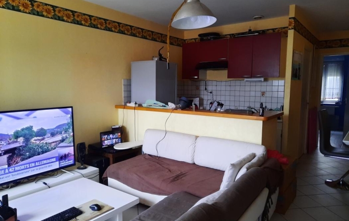 Réseau Immo-diffusion : Appartement P2  HAUTE-RIVOIRE  43 m2 300 € 
